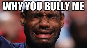 WHY YOU BULLY ME | image tagged in sports fans | made w/ Imgflip meme maker
