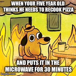 Dog in burning house | WHEN YOUR FIVE YEAR OLD THINKS HE NEEDS TO RECOOK PIZZA; AND PUTS IT IN THE MICROWAVE FOR 30 MINUTES | image tagged in dog in burning house | made w/ Imgflip meme maker