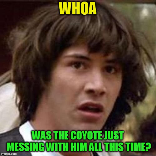 whoa | WHOA WAS THE COYOTE JUST MESSING WITH HIM ALL THIS TIME? | image tagged in whoa | made w/ Imgflip meme maker