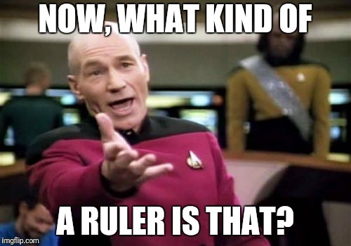 Picard Wtf Meme | NOW, WHAT KIND OF A RULER IS THAT? | image tagged in memes,picard wtf | made w/ Imgflip meme maker