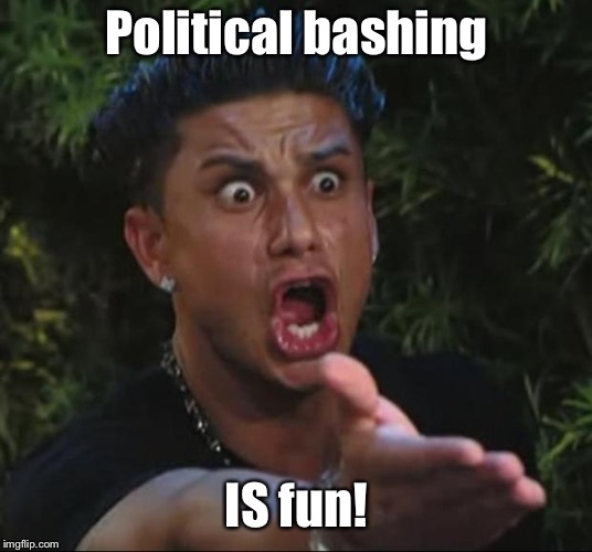DJ Pauly D Meme | Political bashing IS fun! | image tagged in memes,dj pauly d | made w/ Imgflip meme maker