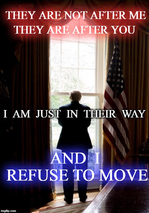 MAGA #2020 | THEY ARE AFTER YOU; THEY ARE NOT AFTER ME; I  AM  JUST  IN  THEIR  WAY; AND  I REFUSE TO MOVE | image tagged in president trump,donald trump,maga,usa | made w/ Imgflip meme maker