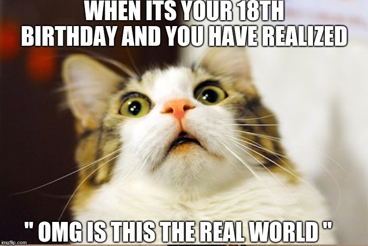 FUNNY CAT | WHEN ITS YOUR 18TH BIRTHDAY AND YOU HAVE REALIZED; " OMG IS THIS THE REAL WORLD " | image tagged in memes | made w/ Imgflip meme maker