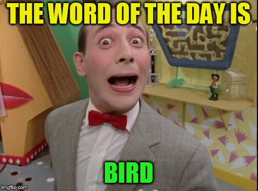 Peewee Herman secret word of the day | THE WORD OF THE DAY IS BIRD | image tagged in peewee herman secret word of the day | made w/ Imgflip meme maker