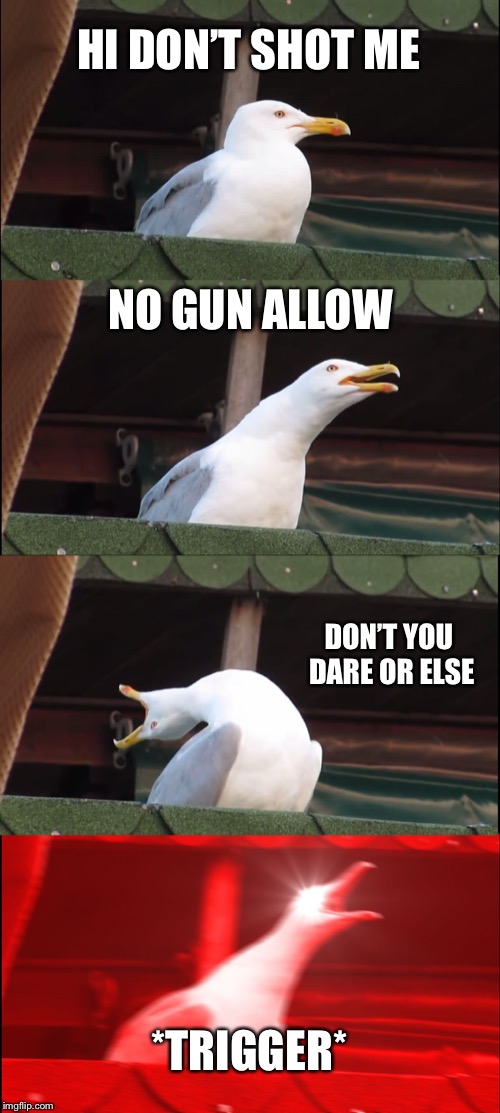 Inhaling Seagull | HI DON’T SHOT ME; NO GUN ALLOW; DON’T YOU DARE OR ELSE; *TRIGGER* | image tagged in memes,inhaling seagull | made w/ Imgflip meme maker