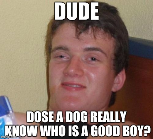 a good question | DUDE; DOSE A DOG REALLY KNOW WHO IS A GOOD BOY? | image tagged in memes,10 guy | made w/ Imgflip meme maker