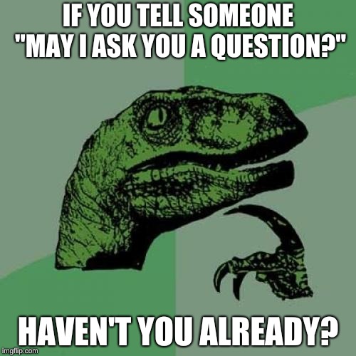 Philosoraptor | IF YOU TELL SOMEONE "MAY I ASK YOU A QUESTION?"; HAVEN'T YOU ALREADY? | image tagged in memes,philosoraptor | made w/ Imgflip meme maker