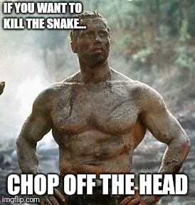Predator Meme | IF YOU WANT TO KILL THE SNAKE... CHOP OFF THE HEAD | image tagged in memes,predator | made w/ Imgflip meme maker