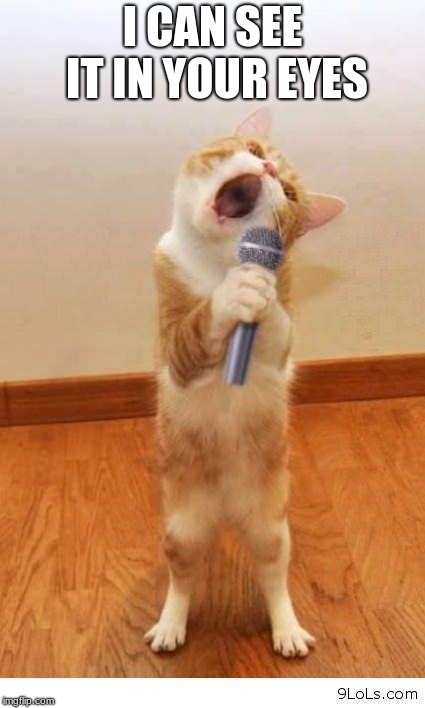 Cat Singer | I CAN SEE IT IN YOUR EYES | image tagged in cat singer | made w/ Imgflip meme maker