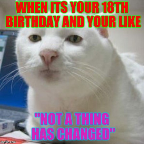18TH BITHDAY | WHEN ITS YOUR 18TH BIRTHDAY AND YOUR LIKE; "NOT A THING HAS CHANGED" | image tagged in grumpy cat | made w/ Imgflip meme maker