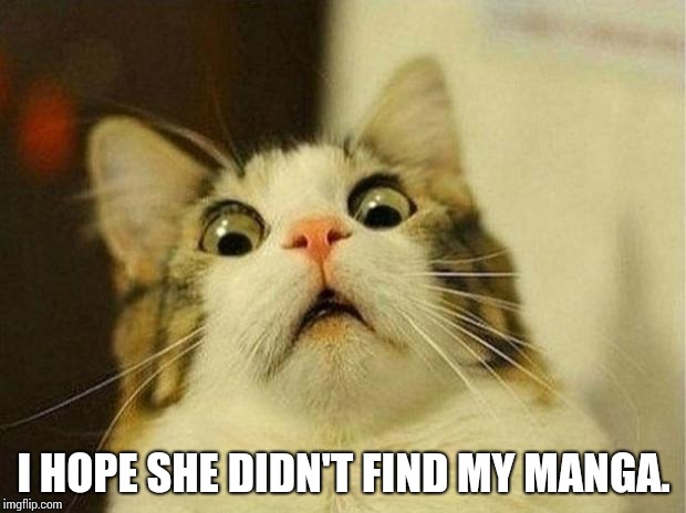Scared Cat Meme | I HOPE SHE DIDN'T FIND MY MANGA. | image tagged in memes,scared cat | made w/ Imgflip meme maker