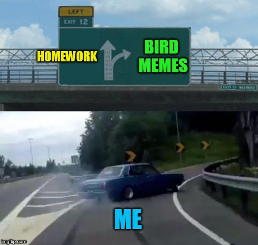 Left Exit 12 Off Ramp Meme | HOMEWORK BIRD MEMES ME | image tagged in memes,left exit 12 off ramp | made w/ Imgflip meme maker