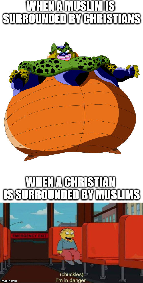 WHEN A MUSLIM IS SURROUNDED BY CHRISTIANS; WHEN A CHRISTIAN IS SURROUNDED BY MUSLIMS | image tagged in i'm in danger  blank place above | made w/ Imgflip meme maker