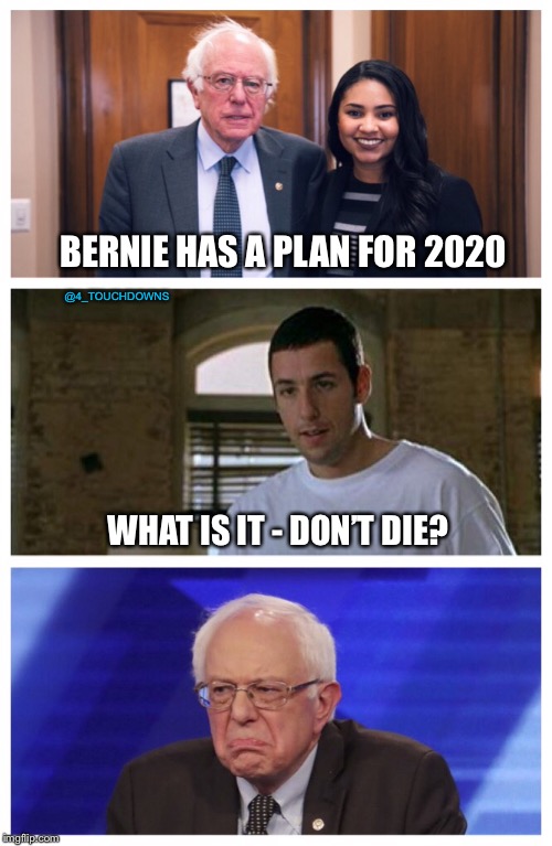 Old balls...Gross! | BERNIE HAS A PLAN FOR 2020; @4_TOUCHDOWNS; WHAT IS IT - DON’T DIE? | image tagged in bernie sanders,adam sandler | made w/ Imgflip meme maker