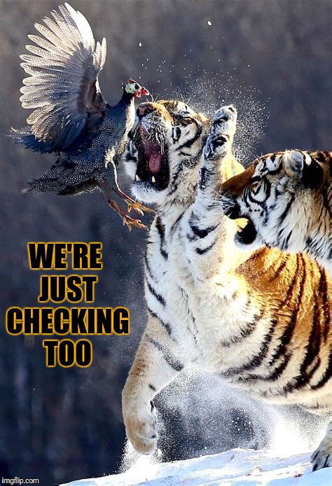 WE'RE JUST CHECKING TOO | made w/ Imgflip meme maker