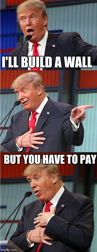 Bad Pun Trump | I'LL BUILD A WALL; BUT YOU HAVE TO PAY | image tagged in bad pun trump | made w/ Imgflip meme maker
