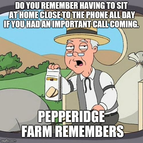 Pepperidge Farm Remembers Meme | DO YOU REMEMBER HAVING TO SIT AT HOME CLOSE TO THE PHONE ALL DAY IF YOU HAD AN IMPORTANT CALL COMING. PEPPERIDGE FARM REMEMBERS | image tagged in memes,pepperidge farm remembers | made w/ Imgflip meme maker