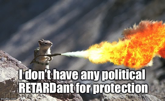 Flame War Squirrel | I don’t have any political RETARDant for protection | image tagged in flame war squirrel | made w/ Imgflip meme maker