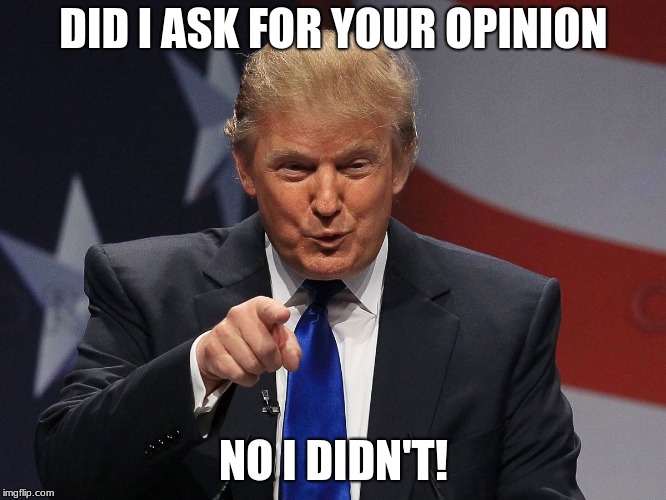 I still Didn't Ask | DID I ASK FOR YOUR OPINION; NO I DIDN'T! | image tagged in donald trump | made w/ Imgflip meme maker