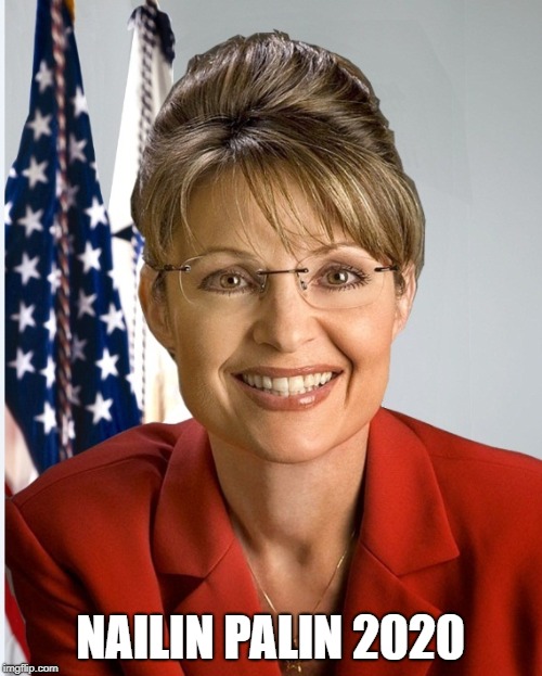 Sarah Palin official | NAILIN PALIN 2020 | image tagged in sarah palin official | made w/ Imgflip meme maker