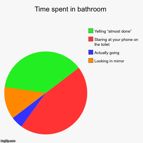 Time spent in bathroom | Looking in mirror, Actually going, Staring at your phone on the toilet , Yelling “almost done” | image tagged in funny,pie charts | made w/ Imgflip chart maker