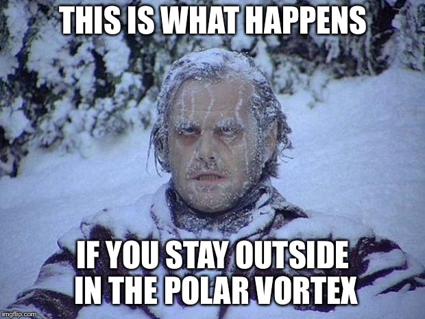 Jack Nicholson The Shining Snow Meme | THIS IS WHAT HAPPENS; IF YOU STAY OUTSIDE IN THE POLAR VORTEX | image tagged in memes,jack nicholson the shining snow | made w/ Imgflip meme maker