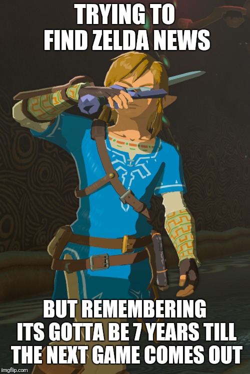 Link | TRYING TO FIND ZELDA NEWS; BUT REMEMBERING ITS GOTTA BE 7 YEARS TILL THE NEXT GAME COMES OUT | image tagged in link | made w/ Imgflip meme maker