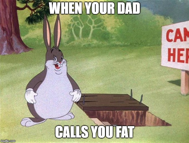 Big Chungus | WHEN YOUR DAD; CALLS YOU FAT | image tagged in big chungus | made w/ Imgflip meme maker