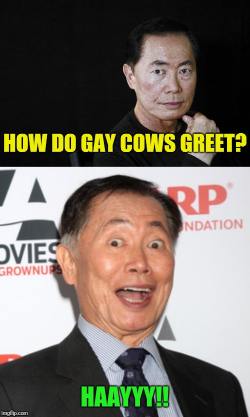 All the credit goes to Thparky | HOW DO GAY COWS GREET? HAAYYY!! | image tagged in bad pun sulu,sulu,george takei,gay,cows,gay cows | made w/ Imgflip meme maker