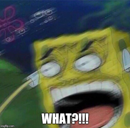 Angry Spongebob | WHAT?!!! | image tagged in angry spongebob | made w/ Imgflip meme maker