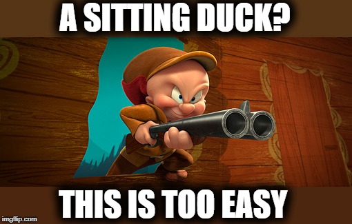 A SITTING DUCK? THIS IS TOO EASY | made w/ Imgflip meme maker