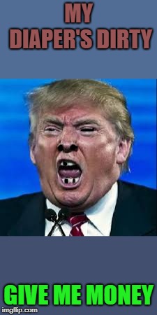 Trump yelling | MY DIAPER'S DIRTY; GIVE ME MONEY | image tagged in trump yelling | made w/ Imgflip meme maker
