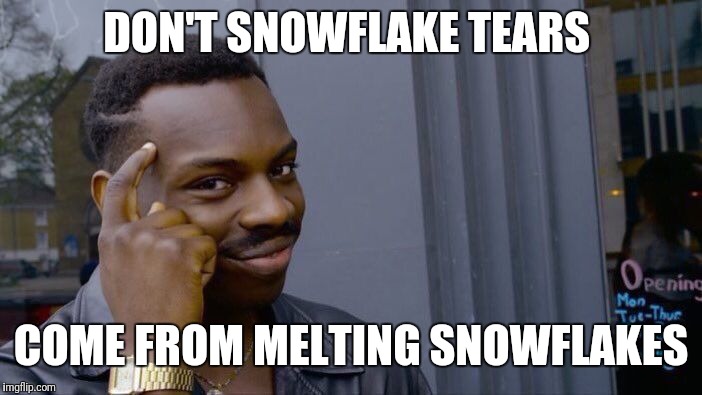 Roll Safe Think About It Meme | DON'T SNOWFLAKE TEARS COME FROM MELTING SNOWFLAKES | image tagged in memes,roll safe think about it | made w/ Imgflip meme maker