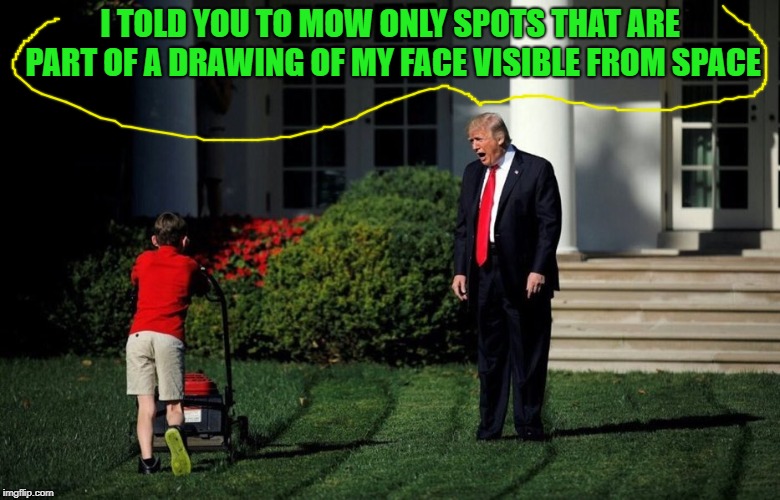 Trump Yelling At Kid | I TOLD YOU TO MOW ONLY SPOTS THAT ARE PART OF A DRAWING OF MY FACE VISIBLE FROM SPACE | image tagged in trump yelling at kid | made w/ Imgflip meme maker