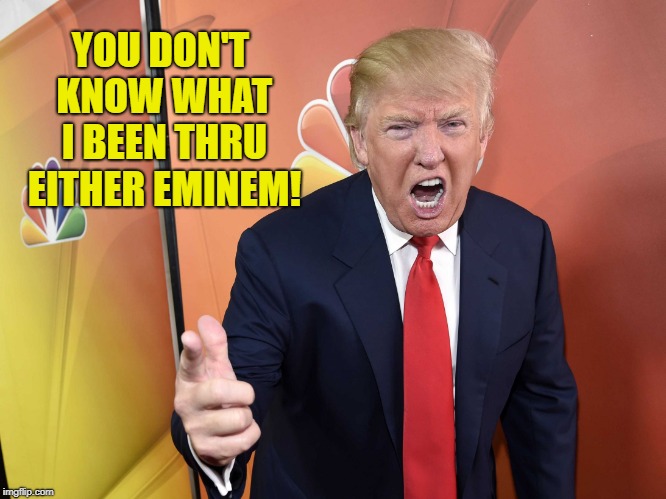 Trump Yelling | YOU DON'T KNOW WHAT I BEEN THRU EITHER EMINEM! | image tagged in trump yelling | made w/ Imgflip meme maker