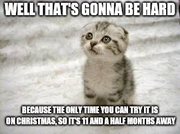 Sad Cat Meme | WELL THAT'S GONNA BE HARD BECAUSE THE ONLY TIME YOU CAN TRY IT IS ON CHRISTMAS, SO IT'S 11 AND A HALF MONTHS AWAY | image tagged in memes,sad cat | made w/ Imgflip meme maker