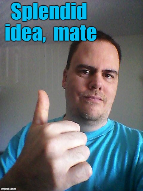 Thumbs up | Splendid idea,  mate | image tagged in thumbs up | made w/ Imgflip meme maker
