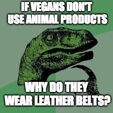 Dinosaur | IF VEGANS DON'T USE ANIMAL PRODUCTS; WHY DO THEY WEAR LEATHER BELTS? | image tagged in dinosaur | made w/ Imgflip meme maker