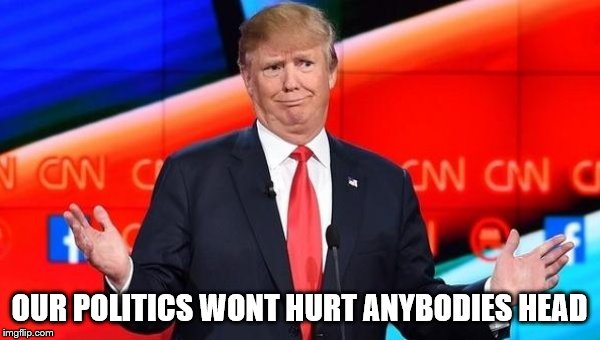 Trump shrug  | OUR POLITICS WONT HURT ANYBODIES HEAD | image tagged in trump shrug | made w/ Imgflip meme maker