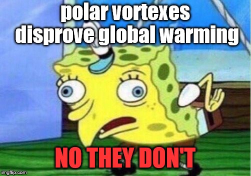 Mocking Spongebob | polar vortexes disprove global warming; NO THEY DON'T | image tagged in memes,mocking spongebob | made w/ Imgflip meme maker