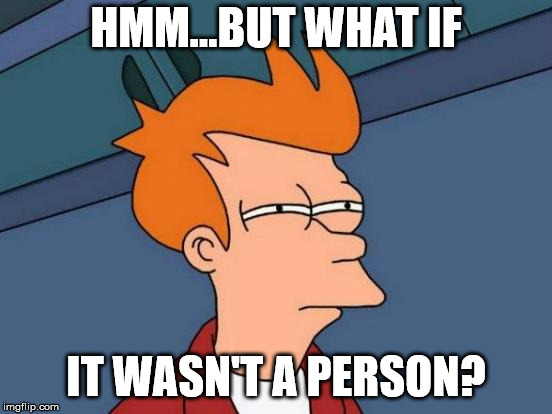 Futurama Fry Meme | HMM...BUT WHAT IF IT WASN'T A PERSON? | image tagged in memes,futurama fry | made w/ Imgflip meme maker