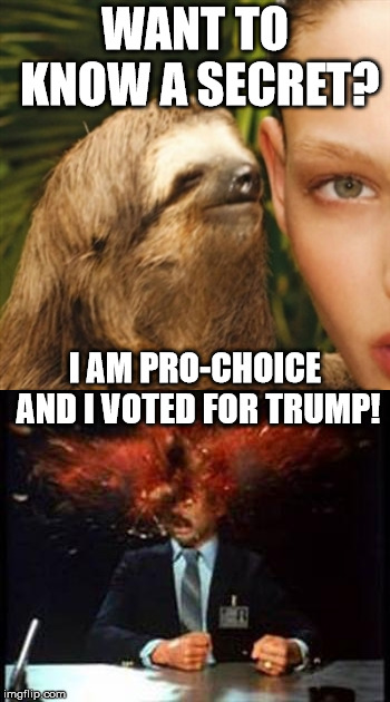 Boom! | WANT TO KNOW A SECRET? I AM PRO-CHOICE AND I VOTED FOR TRUMP! | image tagged in memes,whisper sloth,head explode | made w/ Imgflip meme maker