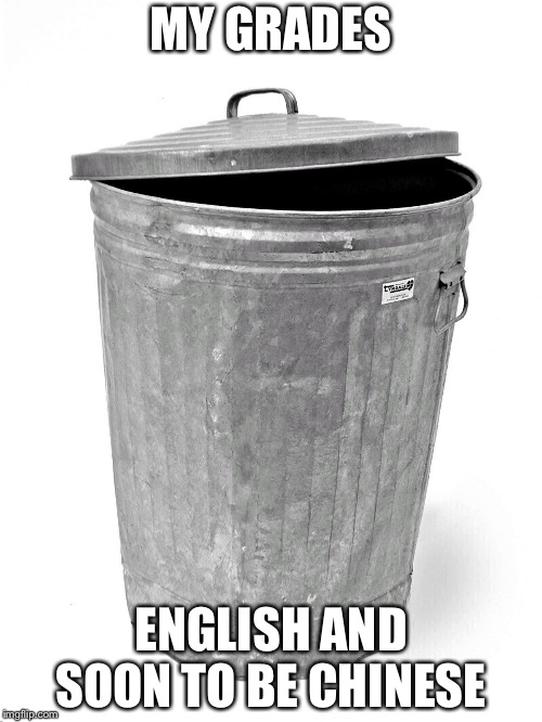 Trash Can | MY GRADES; ENGLISH AND SOON TO BE CHINESE | image tagged in trash can | made w/ Imgflip meme maker