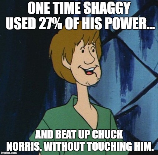Cartoon shaggy 2 | ONE TIME SHAGGY USED 27% OF HIS POWER... AND BEAT UP CHUCK NORRIS. WITHOUT TOUCHING HIM. | image tagged in cartoon shaggy 2 | made w/ Imgflip meme maker