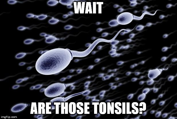 Wrong way | WAIT; ARE THOSE TONSILS? | image tagged in sperm swimming | made w/ Imgflip meme maker