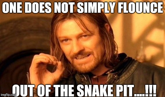 One Does Not Simply Meme | ONE DOES NOT SIMPLY FLOUNCE; OUT OF THE SNAKE PIT....!!! | image tagged in memes,one does not simply | made w/ Imgflip meme maker