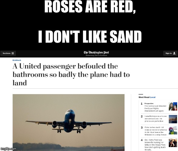 Welp | ROSES ARE RED, I DON'T LIKE SAND | image tagged in airplane,plane | made w/ Imgflip meme maker
