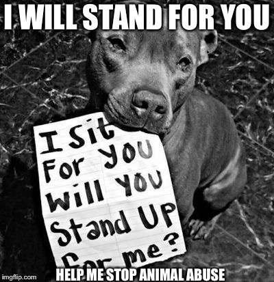 I WILL STAND FOR YOU; HELP ME STOP ANIMAL ABUSE | image tagged in i will sit for you | made w/ Imgflip meme maker