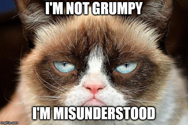 Grumpy Cat Not Amused | I'M NOT GRUMPY; I'M MISUNDERSTOOD | image tagged in memes,grumpy cat not amused,grumpy cat | made w/ Imgflip meme maker