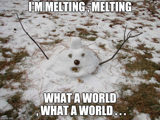 Melted Snowman | I'M MELTING , MELTING WHAT A WORLD , WHAT A WORLD . . . | image tagged in melted snowman | made w/ Imgflip meme maker